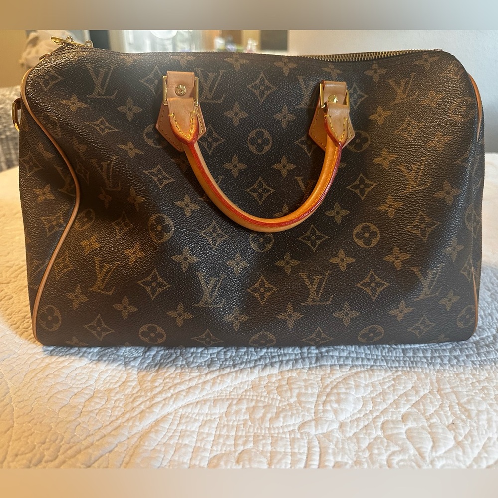 Louis Vuitton Monogram Brown Bag